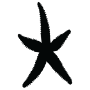 Placeholder starfish image
